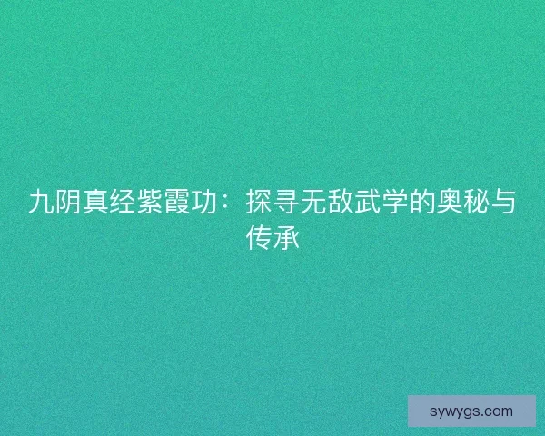 九阴真经紫霞功：探寻无敌武学的奥秘与传承