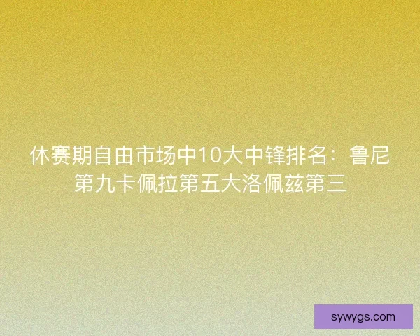 休赛期自由市场中10大中锋排名:鲁尼第九卡佩拉第五大洛佩兹第三 休赛期自由市场中10大中锋排名:鲁尼第九卡佩拉第五大洛佩兹第三